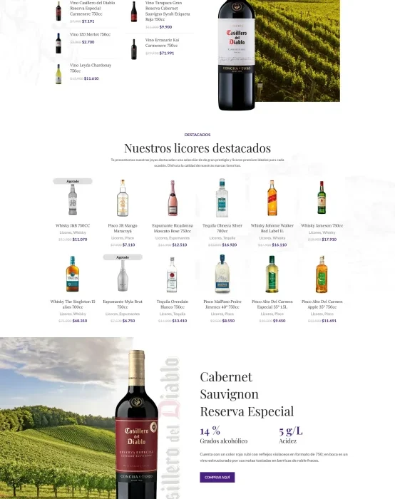 Club Terminal - Sitio web